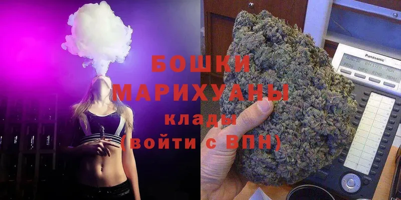 Конопля Bruce Banner  Дно 